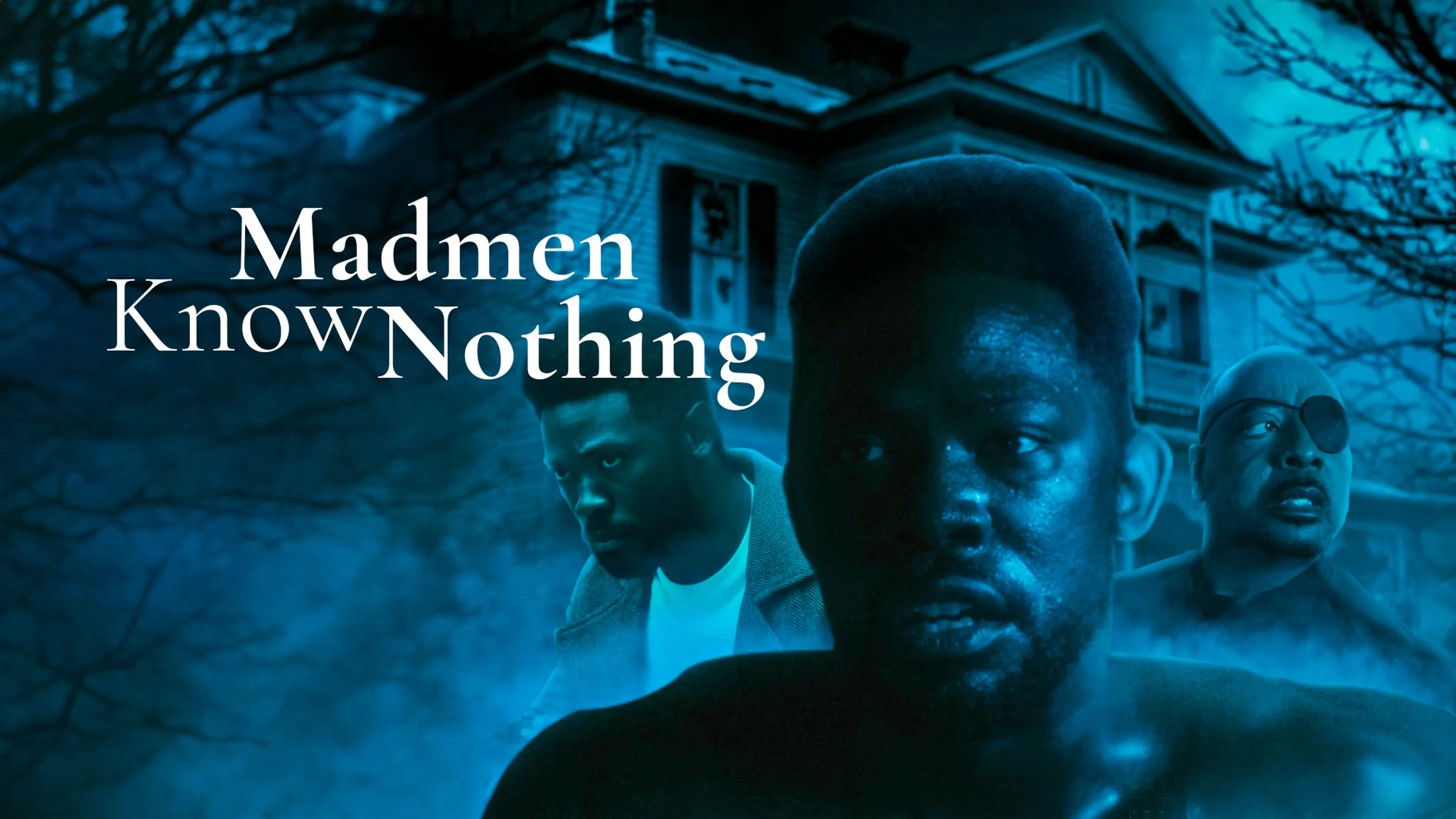 Madmen Know Nothing poster